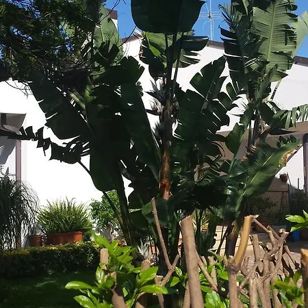 Casa Celestino Casa de Férias *